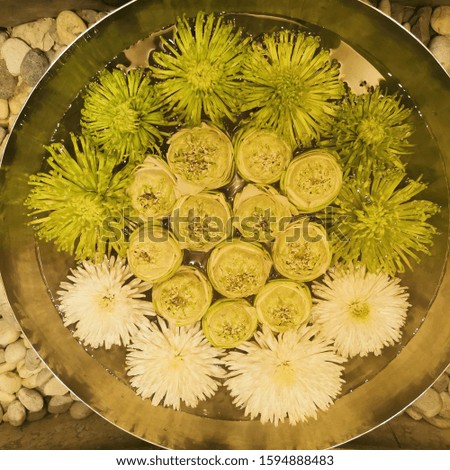 the yellow and white flower floating on water in plants wall decoration of the room