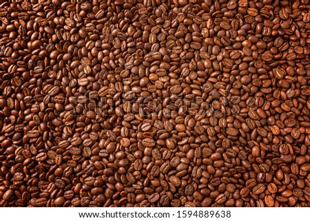 Coffee beans in a dense layer. Background. Space for text. Top view.