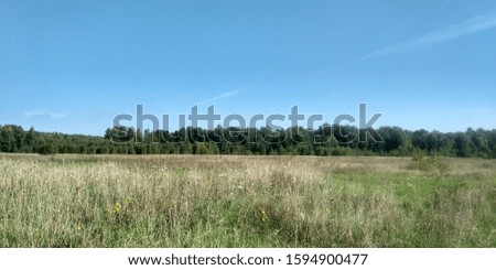 Beautiful landscape. Nature picture background. Spring nature. Blue clear sky. Sunlight and fluffy clouds. Field and meadow.