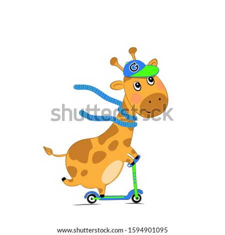 Vector illustration of a small cute giraffe on a scooter isolated on white background.  Children's print on clothes, greeting card, party invitation. 