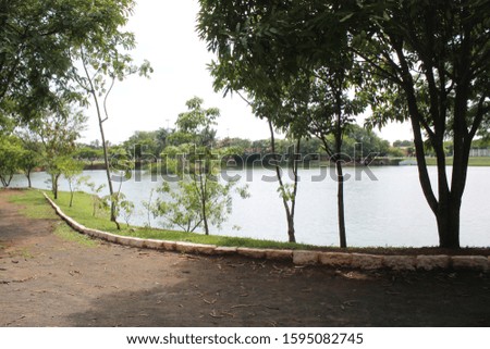 pictures of a pond in paulinia