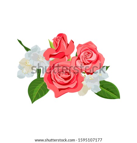 vector drawing flowers of red roses and white mock-orange, isolated floral elements at white background, hand drawn illustration