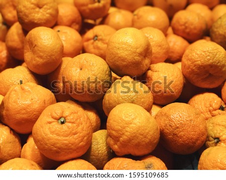 Tangerines winter harvest close up