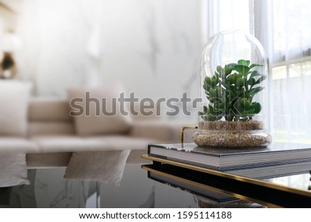 small cactus types on black table in living room Royalty-Free Stock Photo #1595114188
