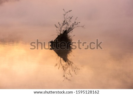 clump of trees reflecting on a very misty Loch