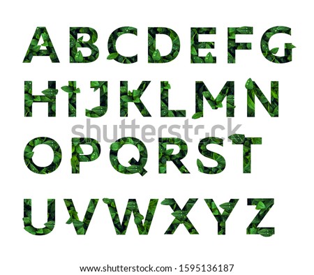 Green Font Collection of Leaves English Alphabet, isolated on white background. summer and eco concept idea.