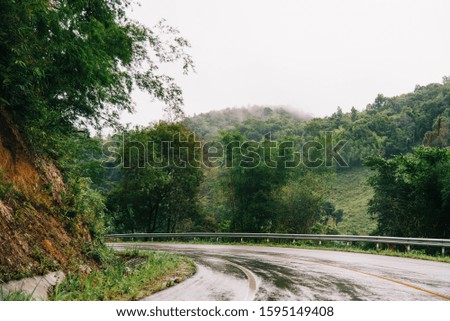 Foggy road in the forest ,Beautiful nature trail (Picture put grain)