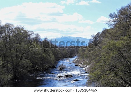Landscape of river trees and mountain in the back of photo 