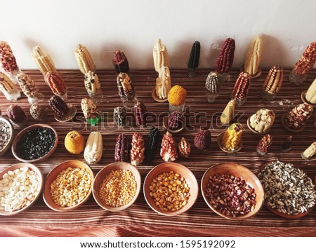 The different types of corn exposed in Puno, Peru in June 2017