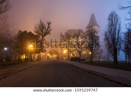Vajdahunyad Castle in Budapest in foggy night. Mixture different cultures and architecture styles. Royalty-Free Stock Photo #1595239747