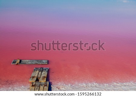 Pink Salt water Lake pink background z x