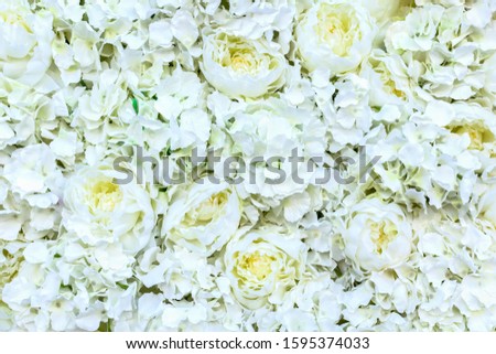 Decorative wall made of flower buds of white peonies and roses from textile. Festive light floral background for wedding ceremonies and photo zones, cards for love and invitations.