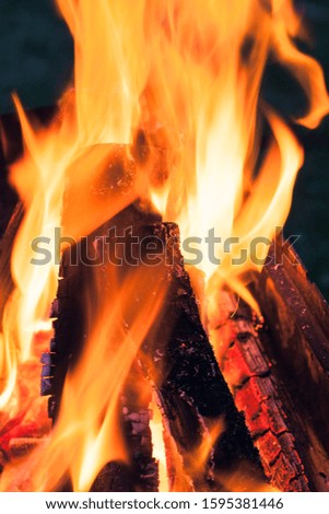 Macro shot of open fire. Campfire photo with shallow depth of field