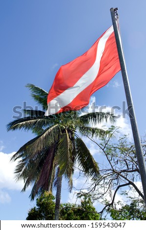 Diving flag against palm tree on a pacific island.