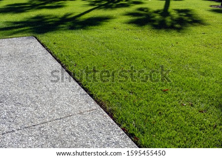 A thick carpet of zoysia grass, an oyster shell tabby walkway and palm tree shadows create a tropical abstract composition.