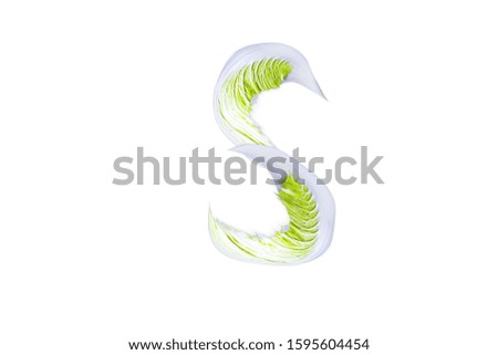The letter " S " of the English alphabet from cabbage