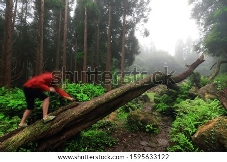 Young woman photographer trekking and taking pictures in the tropical forest of Pozo da Alagoinha, Flores Island, Azores Archipelago, Portugal, Europe