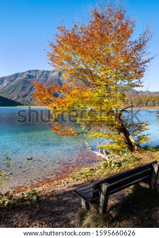 Sunny idyllic colorful autumn alpine view. Peaceful autumn Alps mountain lake with clear transparent water and reflections. Offensee lake, Salzkammergut, Upper Austria.