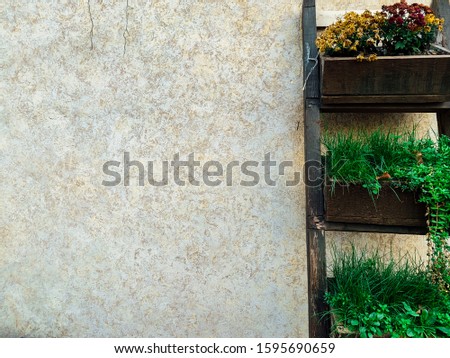 old stone vintage loft wall with green home plants as background