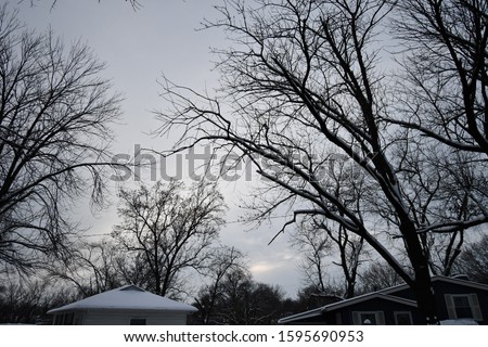 A snow covered neighborhood with lots of trees following a blizzard in Kansas City, Missouri. Picture was taken in December at sunset.