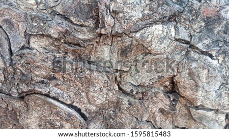 The wood carved texture design image in brown colour looks beautiful