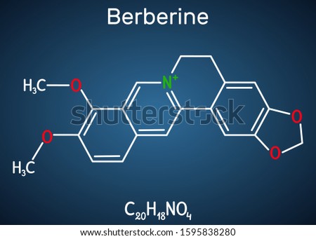 Berberine C20H18NO4, herbal alkaloid molecule. Structural chemical formula on the dark blue background. Vector illustration Royalty-Free Stock Photo #1595838280