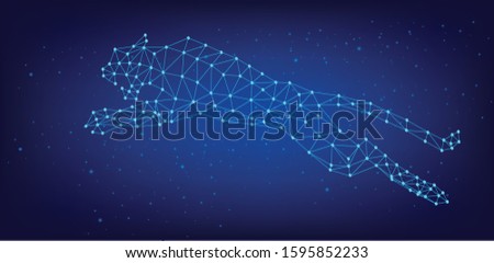 Abstract image of tiger in the form of a starry sky or space, consisting of points, lines,  Vector head of animals.