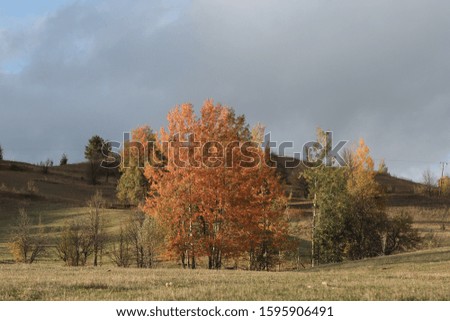 Beautiful view of small village in autumn with colourful larch trees and mountains,