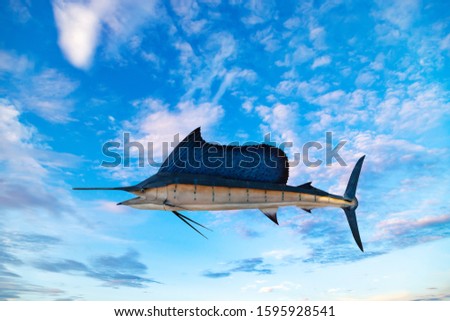 Marlin - Swordfish,Sailfish saltwater fish (Istiophorus) Blue sky background.