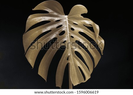 large golden leaf isolated on a black background