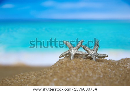 Two stars, silver jewels in the sand on the background of beach and sea. 