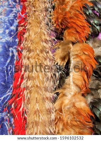 Different kind of feathers in many colors