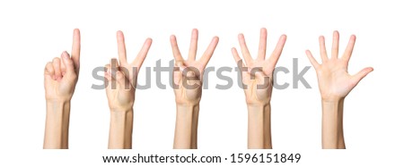 Set of female hand shows gesture on a white isolated background. Score from one to five. Maths
