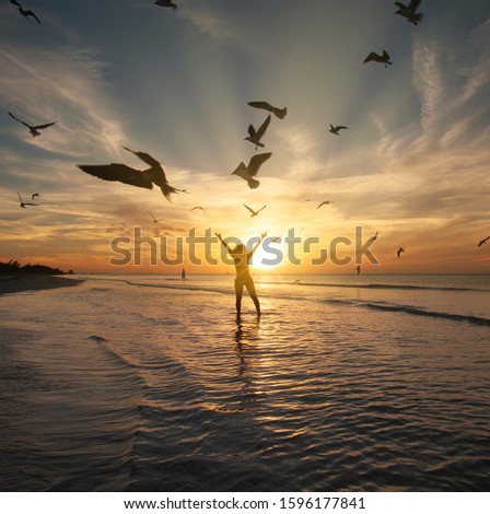 Young woman by the Caribbean sea plays with seagulls,  Holbox island Mexico. happy girl walks on the beach at sunset.