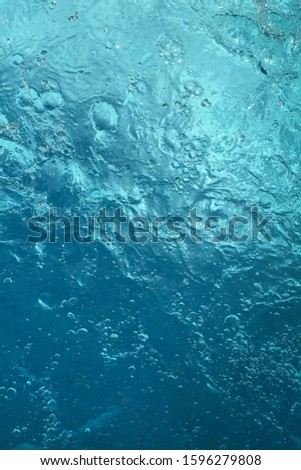 Underwater photos to be used as wallpapers or background (1)