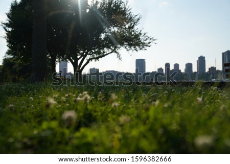 Milwaukee Wisconsin green grass sunset city scape backdrop