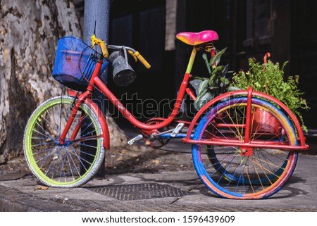 fun bike of many colors and plants in the back