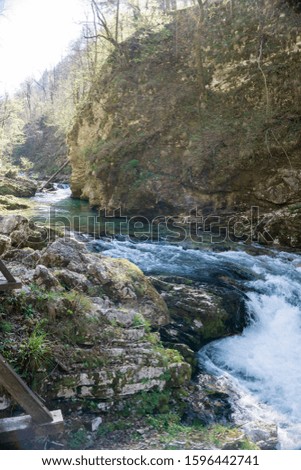 Vintgar gorge and green river  Triglav- Slovenia