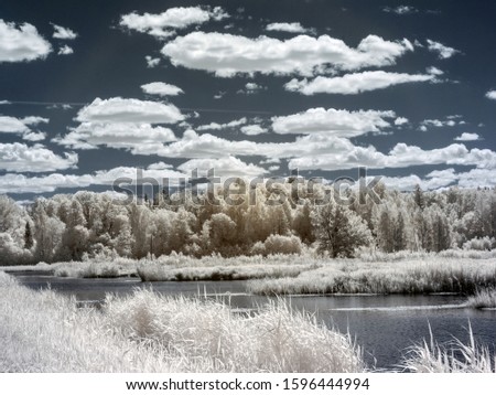 infrared photography, lake landscape, white trees and grass, beautiful reflections of water, looks like winter