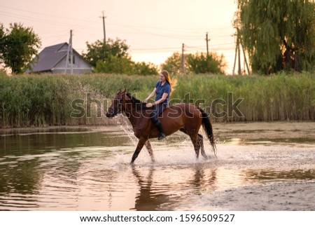 A young girl riding a horse on a shallow lake. A horse runs on water at sunset. Care and walk with the horse. Strength and Beauty.