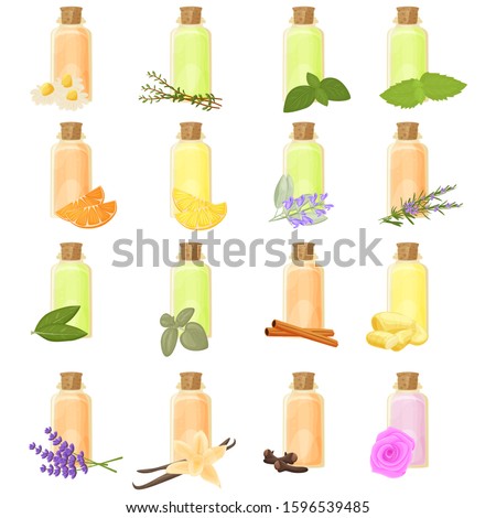 Essential oils in bottle isolated illustrations set, vector clip-art.