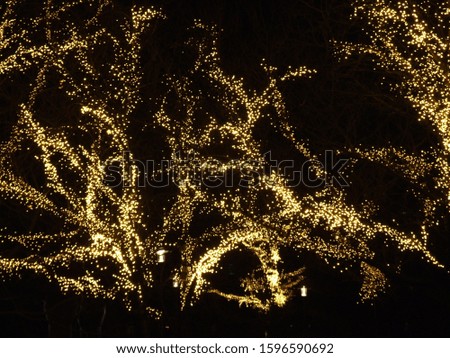 Christmas illumination of street trees in the city