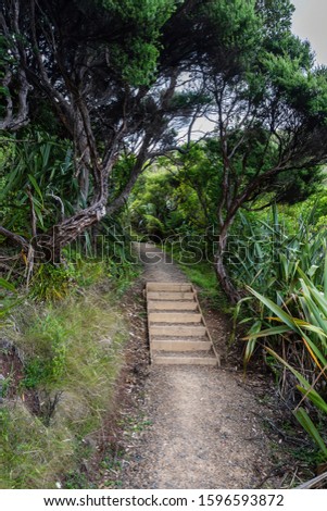 View of hiking track with short wooden staircase