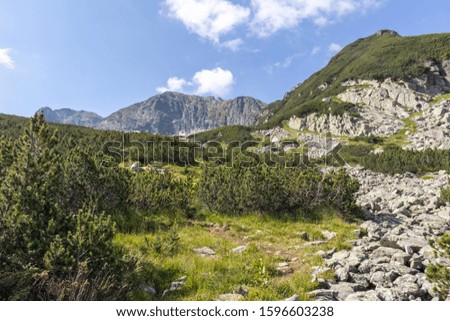 Landscape with The Camel (Kamilata) peak, Rila Mountain, Bulgaria