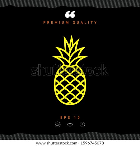 Pineapple icon, elements for your design