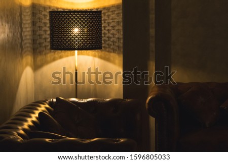 Dim lit cozy elegant environment