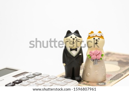Cost of wedding celebration (figure / doll)
