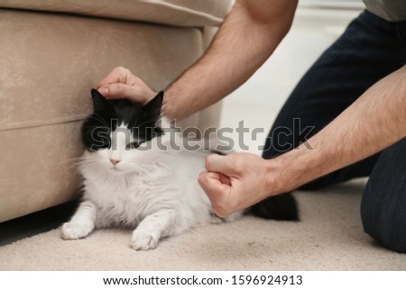 Man beating cat at home, closeup of hands. Domestic violence against pets
