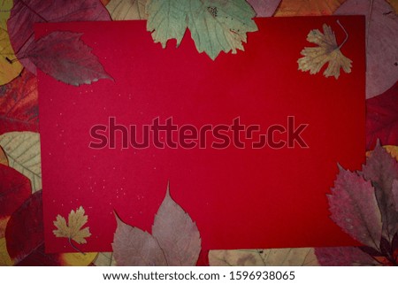 colored background with autumn leaves with place for text