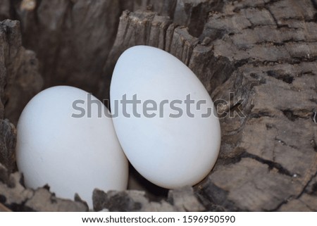 Two large duck eggs lay inside a wooden hole.